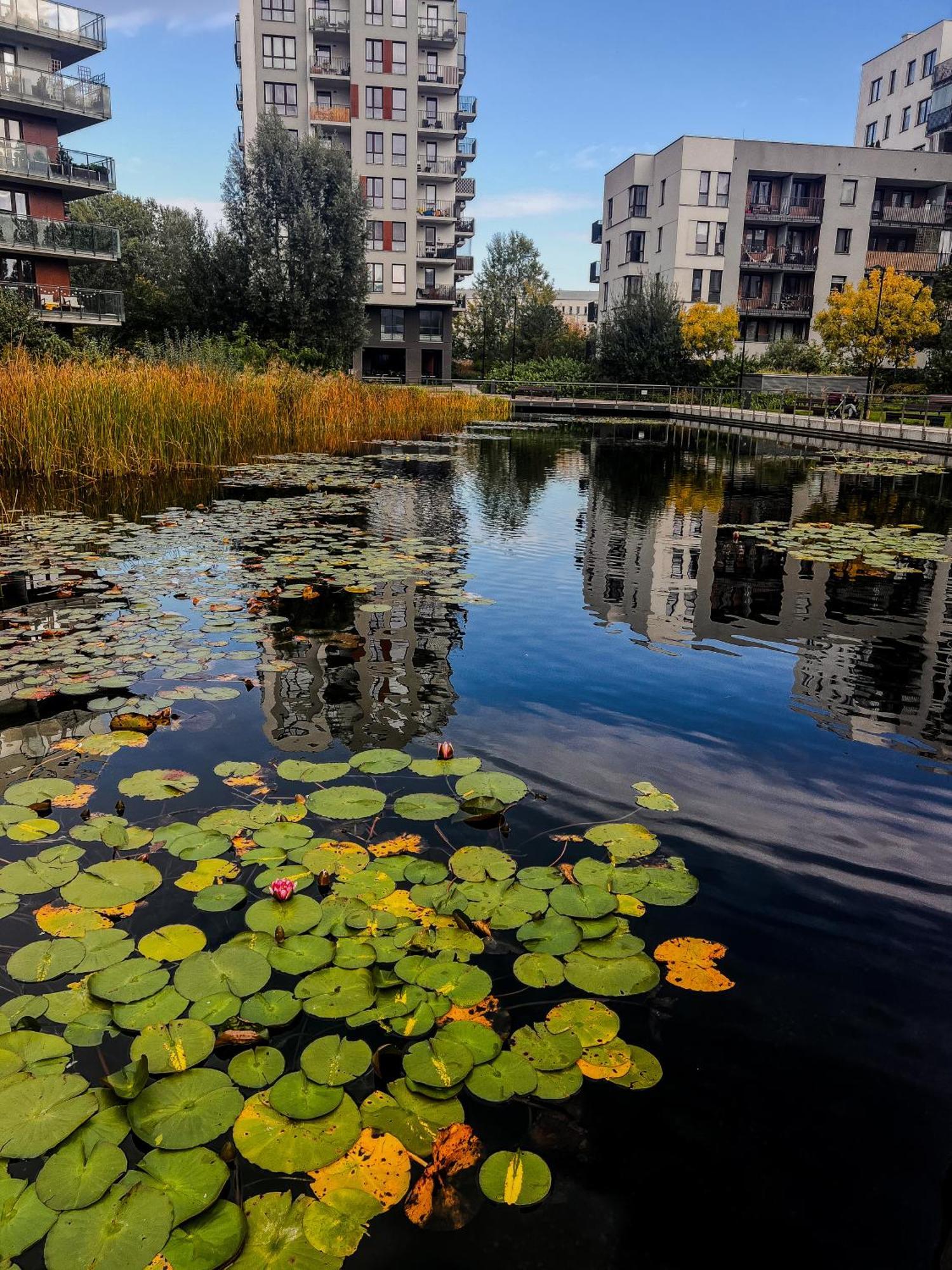 Lägenhet Lake Park Apartament With Free Parking Airport Netflix