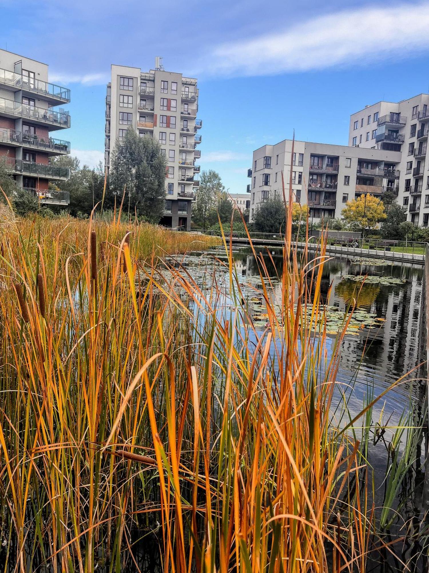 Lake Park Apartament With Free Parking Airport Netflix